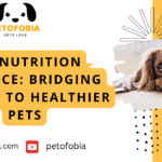 Pet Nutrition Alliance: Bridging the Gap to Healthier Pets