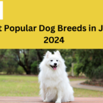 7 Most Popular Dog Breeds in Japan in 2024