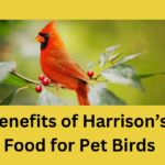 The Benefits of Harrison’s Bird Food for Pet Birds