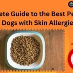 A Complete Guide to the Best Pet Food for Dogs with Skin Allergies