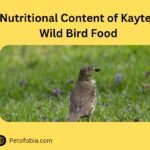 Nutritional Content of Kaytee Wild Bird Food