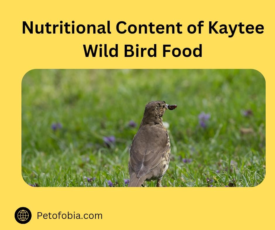 Kaytee Wild Bird Food