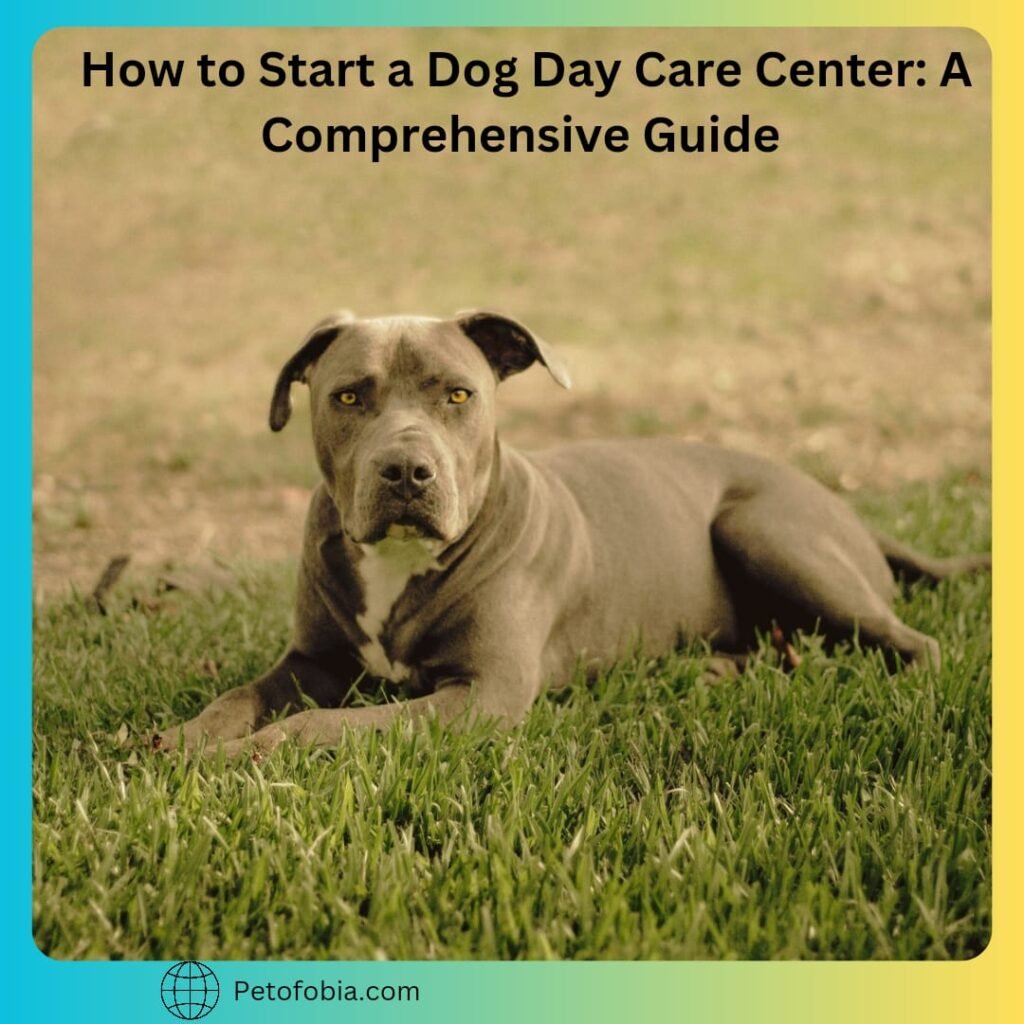 How to Start a Dog Day Care Center