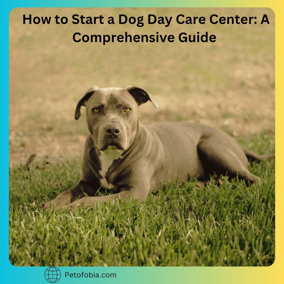 How to Start a Dog Day Care Center