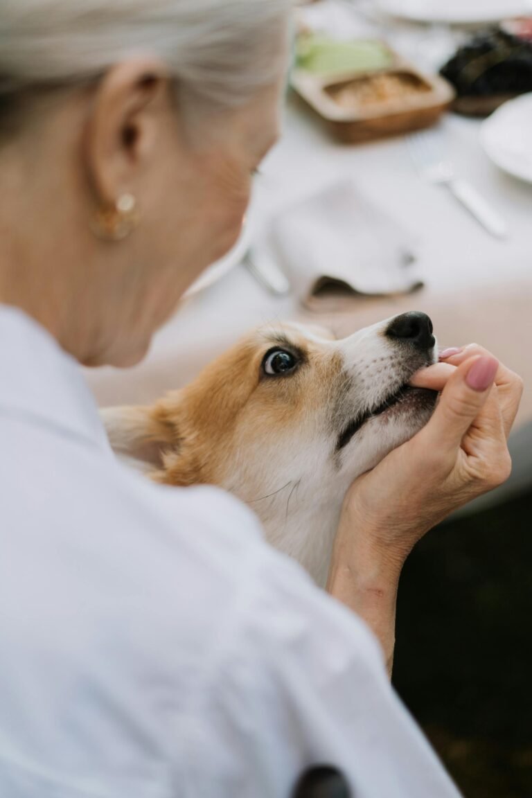 How to Start a Dog Day care Center: A Comprehensive Guide