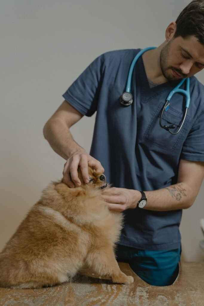 Flea Allergy Dermatitis in Dogs: Symptoms and Treatment