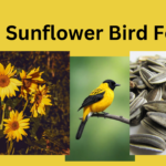 Sunflower Bird Food: Essential, Nutritious Seeds for Happy Pet Birds