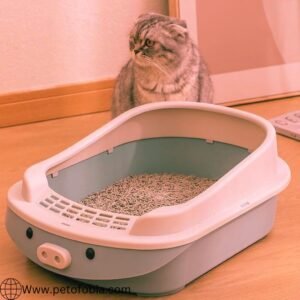 Cat Litter Health Monitoring: A Groundbreaking Method for Cat Care