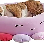 Squishmallow Pet Bed: Cozy & Cute Picks