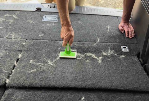 Remove Dog Hair From a Car