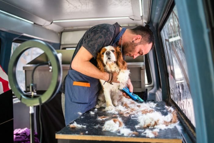 Mobile Pet Grooming Near Me