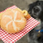 Can Dogs Eat Mustard? What You Should Know