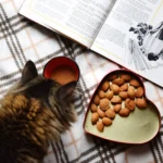 Can Cats Eat Almonds? Safe or Toxic?