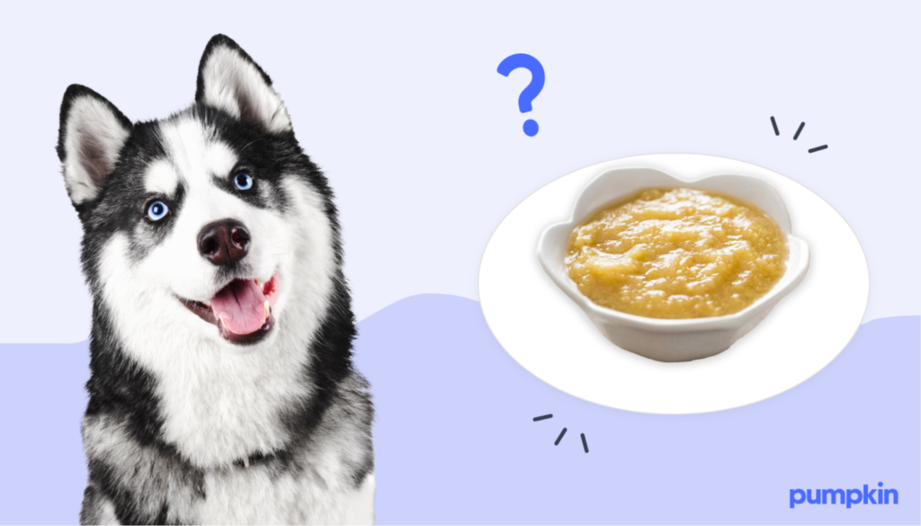 Can Dogs Eat Applesauce