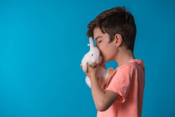 Care for Newborn Rabbits