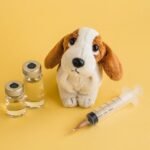 Free Pet Vaccinations Near Me: Where to Go