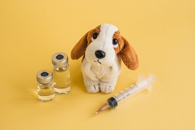 Free Pet Vaccinations Near Me
